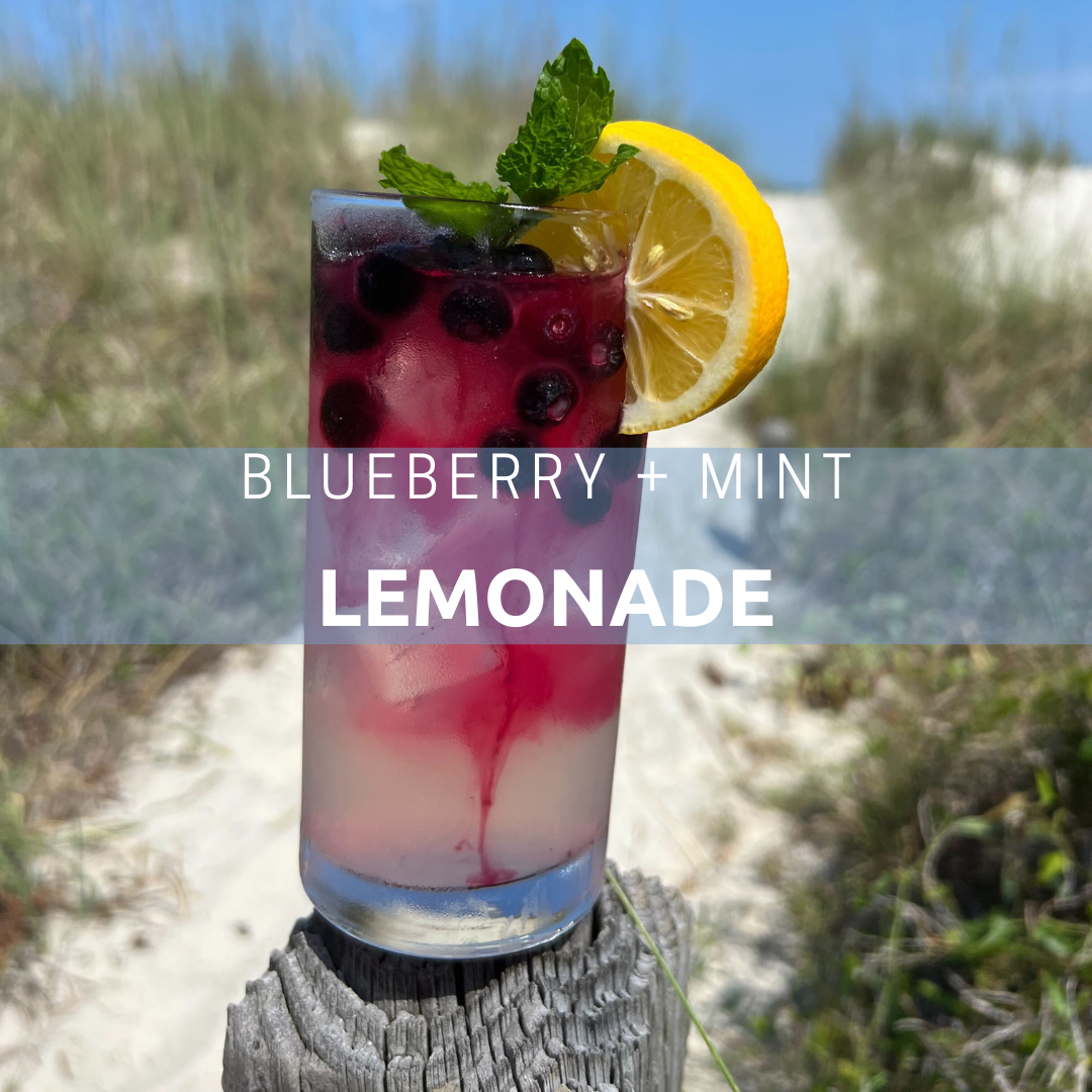 Blueberry + Mint Lemonade - Live Learn Lovewell